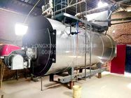 Stainless Steel Industrial Gas Fired Steam Boilers Dual Fuel Oil Gas Low Noise