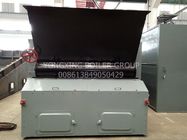 Drying Chain Grate Stoker Coal Fired Steam Boiler With Large Scale Type Grate