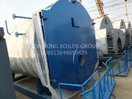 Stable Running High Efficiency Gas Fired Steam Boiler For Chemistry Factory 10-20t/H