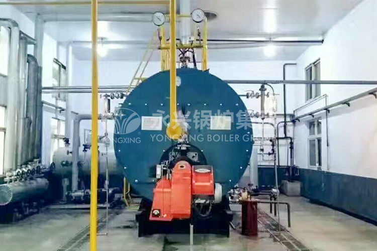Horizontal Gas Fired Hot Water Boiler Condensing Boiler Hot Water Tank